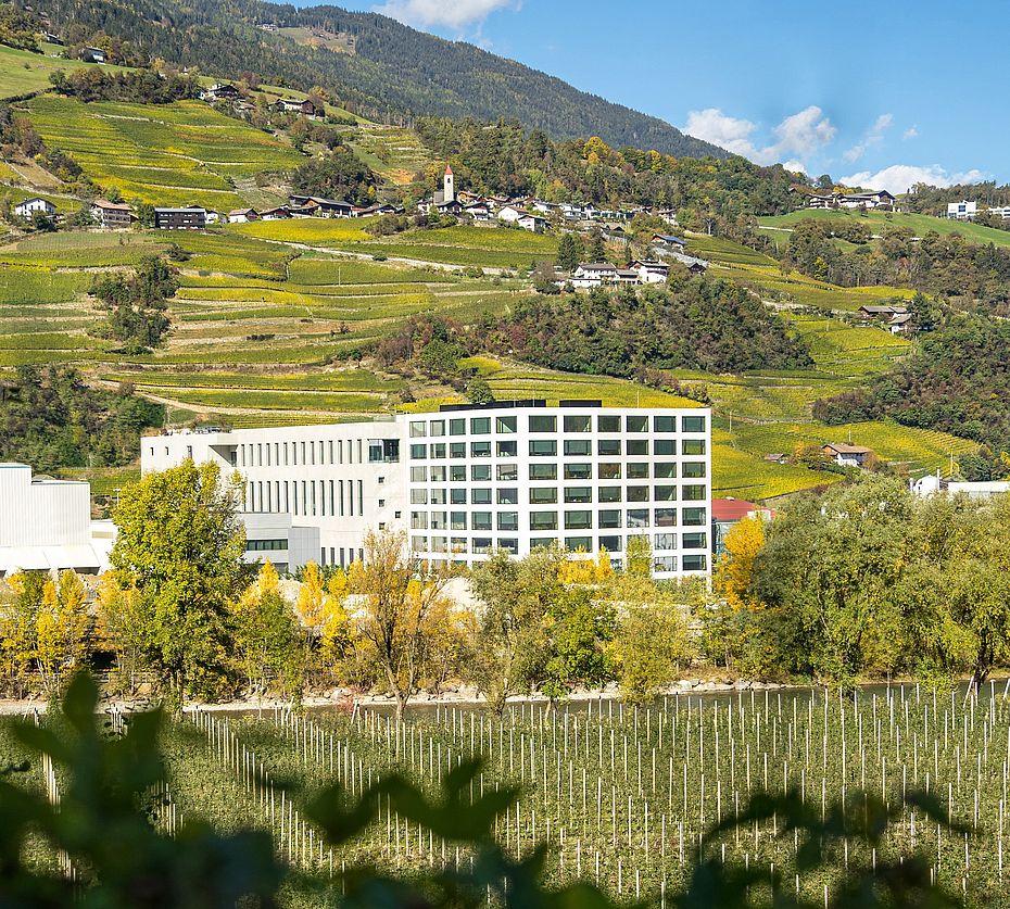 Modernes Bürogebäude in Südtirol umgeben von Weinbergterrassen und herbstlicher Landschaft mit Kirchturm
